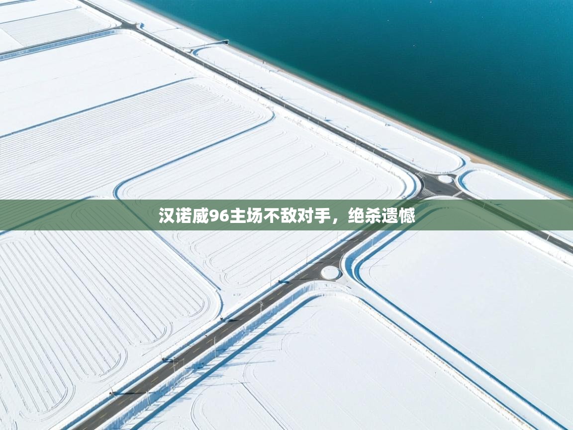 汉诺威96主场不敌对手，绝杀遗憾  第2张