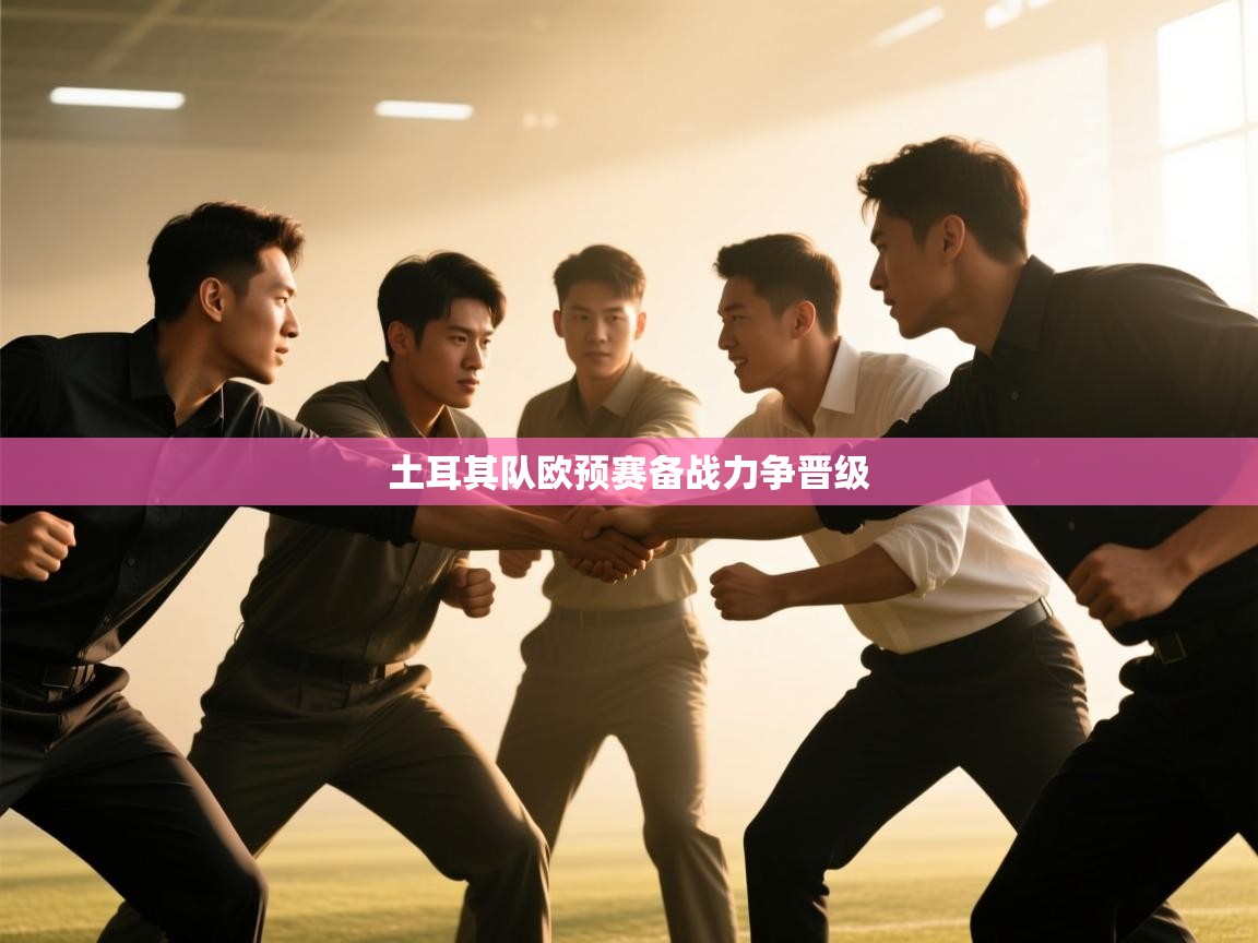 土耳其队欧预赛备战力争晋级  第2张