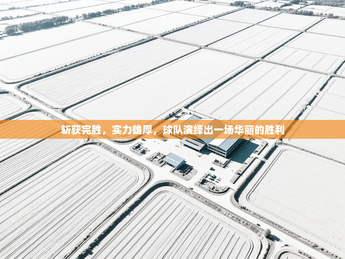 斩获完胜，实力雄厚，球队演绎出一场华丽的胜利  第2张