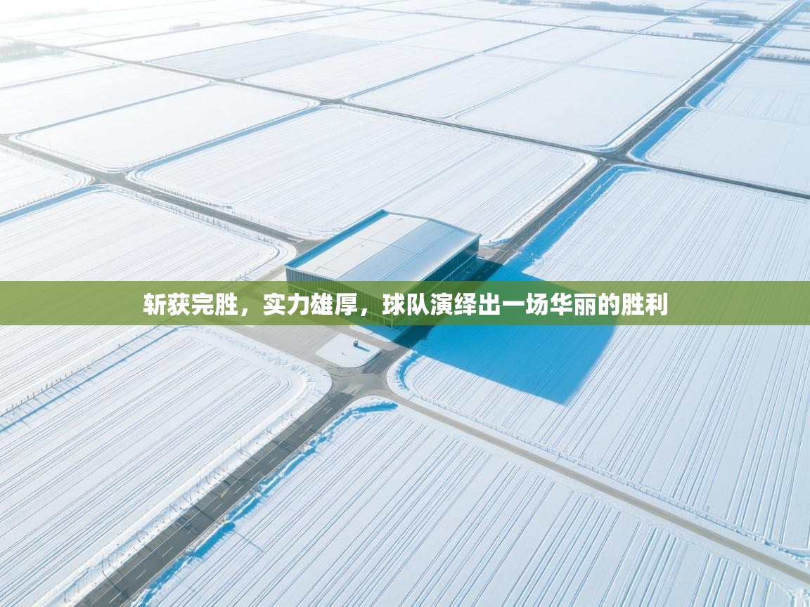 斩获完胜，实力雄厚，球队演绎出一场华丽的胜利  第1张