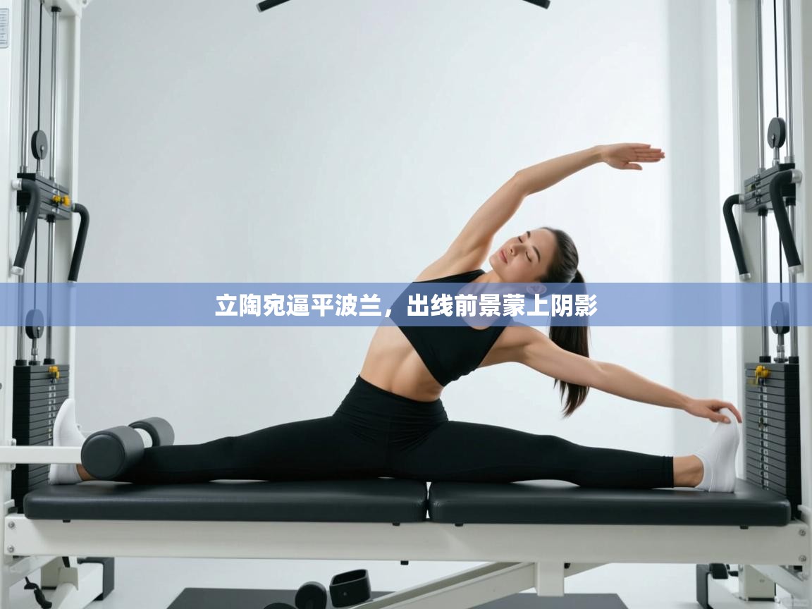 立陶宛逼平波兰，出线前景蒙上阴影