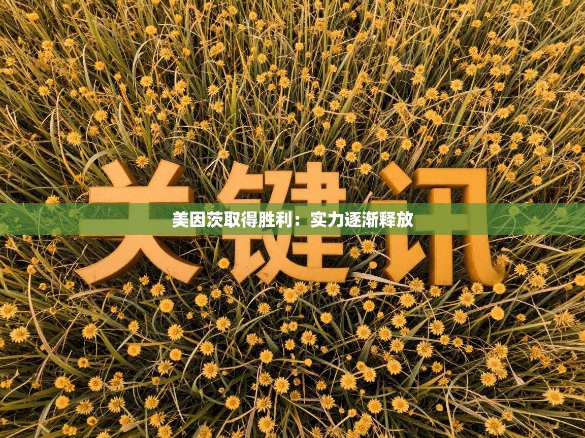 美因茨取得胜利：实力逐渐释放  第1张